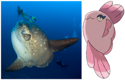Sex up a sunfish and what have you got? [Mola mola vs Alomamola]